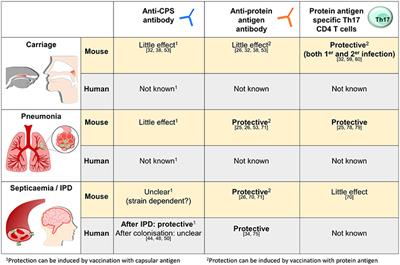 Mechanisms of Naturally Acquired Immunity to Streptococcus pneumoniae